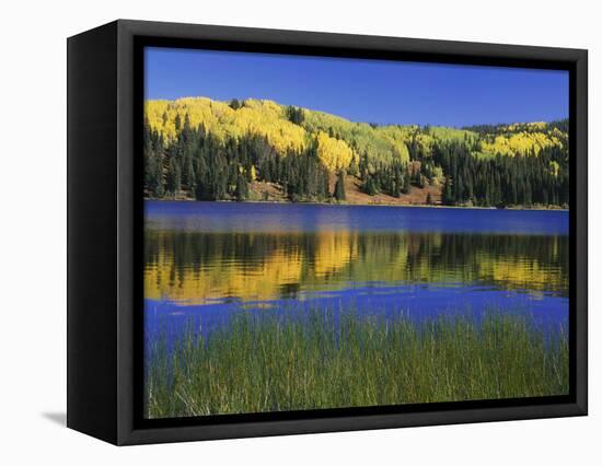 Autumn Scenic at Lost Lake, Gunnison National Forest Colorado, USA-Jaynes Gallery-Framed Stretched Canvas