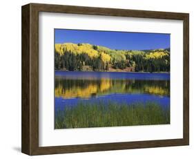 Autumn Scenic at Lost Lake, Gunnison National Forest Colorado, USA-Jaynes Gallery-Framed Photographic Print