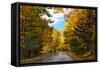 Autumn Scenic Drive, Acadia, Maine-George Oze-Framed Stretched Canvas