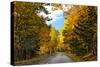 Autumn Scenic Drive, Acadia, Maine-George Oze-Stretched Canvas