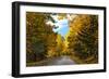 Autumn Scenic Drive, Acadia, Maine-George Oze-Framed Photographic Print