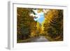 Autumn Scenic Drive, Acadia, Maine-George Oze-Framed Photographic Print