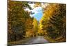 Autumn Scenic Drive, Acadia, Maine-George Oze-Mounted Photographic Print