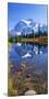 Autumn Scenic, Picture Lake, Mt. Shuksan, Mt. Baker National Recreation Area, Washington State-Stuart Westmorland-Mounted Photographic Print