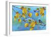 Autumn Season-Ata Alishahi-Framed Giclee Print