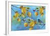 Autumn Season-Ata Alishahi-Framed Giclee Print