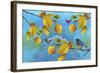 Autumn Season-Ata Alishahi-Framed Giclee Print