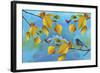 Autumn Season-Ata Alishahi-Framed Giclee Print