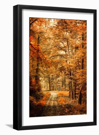 Autumn Secret-Philippe Sainte-Laudy-Framed Photographic Print