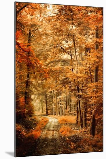 Autumn Secret-Philippe Sainte-Laudy-Mounted Photographic Print