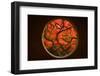 Autumn Sense-Tony Xu-Framed Photographic Print