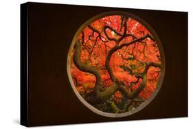 Autumn Sense-Tony Xu-Stretched Canvas