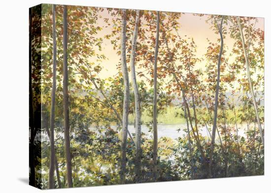 Autumn Shady-Elissa Gore-Stretched Canvas