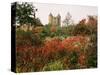 Autumn, Sissinghurst Castle, Kent, England, United Kingdom-John Miller-Stretched Canvas