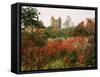 Autumn, Sissinghurst Castle, Kent, England, United Kingdom-John Miller-Framed Stretched Canvas