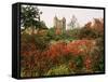 Autumn, Sissinghurst Castle, Kent, England, United Kingdom-John Miller-Framed Stretched Canvas