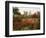 Autumn, Sissinghurst Castle, Kent, England, United Kingdom-John Miller-Framed Photographic Print