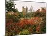 Autumn, Sissinghurst Castle, Kent, England, United Kingdom-John Miller-Mounted Photographic Print