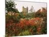 Autumn, Sissinghurst Castle, Kent, England, United Kingdom-John Miller-Mounted Photographic Print