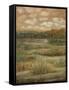 Autumn Sky I-Beverly Crawford-Framed Stretched Canvas