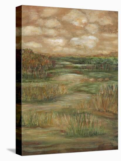 Autumn Sky II-Beverly Crawford-Stretched Canvas