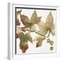 Autumn Song II-Megan Swartz-Framed Art Print