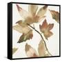 Autumn Song-Megan Swartz-Framed Stretched Canvas