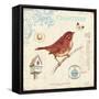 Autumn Songbird-Christopher James-Framed Stretched Canvas