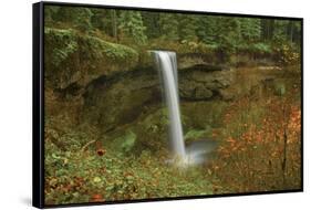 Autumn, South Falls, Silver Falls State Park, Oregon, Usa-Michel Hersen-Framed Stretched Canvas