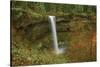 Autumn, South Falls, Silver Falls State Park, Oregon, Usa-Michel Hersen-Stretched Canvas