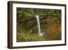 Autumn, South Falls, Silver Falls State Park, Oregon, Usa-Michel Hersen-Framed Photographic Print