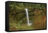 Autumn, South Falls, Silver Falls State Park, Oregon, Usa-Michel Hersen-Framed Stretched Canvas