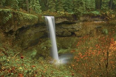 https://imgc.allpostersimages.com/img/posters/autumn-south-falls-silver-falls-state-park-oregon-usa_u-L-Q13C8X10.jpg?artPerspective=n