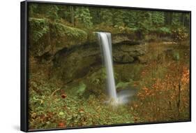 Autumn, South Falls, Silver Falls State Park, Oregon, Usa-Michel Hersen-Framed Photographic Print