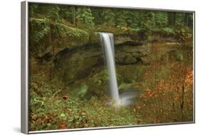 Autumn, South Falls, Silver Falls State Park, Oregon, Usa-Michel Hersen-Framed Photographic Print