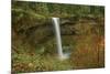 Autumn, South Falls, Silver Falls State Park, Oregon, Usa-Michel Hersen-Mounted Photographic Print