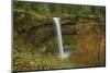 Autumn, South Falls, Silver Falls State Park, Oregon, Usa-Michel Hersen-Mounted Photographic Print