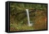 Autumn, South Falls, Silver Falls State Park, Oregon, Usa-Michel Hersen-Framed Stretched Canvas