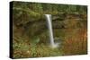 Autumn, South Falls, Silver Falls State Park, Oregon, Usa-Michel Hersen-Stretched Canvas