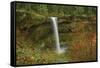 Autumn, South Falls, Silver Falls State Park, Oregon, Usa-Michel Hersen-Framed Stretched Canvas