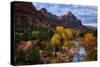 Autumn Southwest Zion National Park, Utah-Vincent James-Stretched Canvas