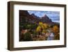 Autumn Southwest Zion National Park, Utah-Vincent James-Framed Photographic Print