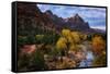 Autumn Southwest Zion National Park, Utah-Vincent James-Framed Stretched Canvas