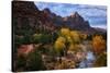 Autumn Southwest Zion National Park, Utah-Vincent James-Stretched Canvas