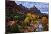 Autumn Southwest Zion National Park, Utah-Vincent James-Mounted Photographic Print