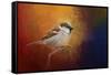 Autumn Sparrow-Jai Johnson-Framed Stretched Canvas