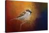 Autumn Sparrow-Jai Johnson-Stretched Canvas