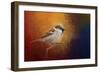 Autumn Sparrow-Jai Johnson-Framed Giclee Print