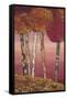 Autumn Spice Equinox Panel 1-Colleen Sarah-Framed Stretched Canvas