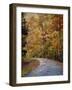 Autumn Splash-Jai Johnson-Framed Giclee Print